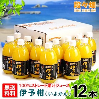 愛媛県産 宮内伊予柑ジュース ストレート果汁100％ 8本入り Amazon.co.jp: 10FACTORY 愛媛みかん 果汁100% 無添加