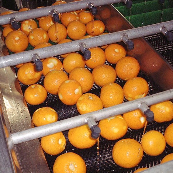 段々畑100%果汁ジュース 詰め合わせセット 6本入り - 愛媛県産100