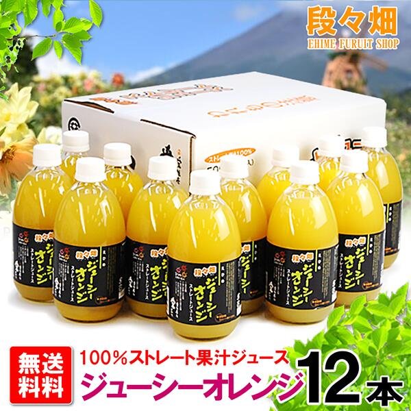 段々畑100% ジューシーオレンジ ジュース 12本入り - 愛媛県産100