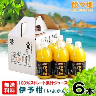 愛媛県産 100％果汁 伊予柑 ジュース