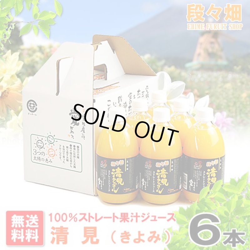 画像1: 段々畑100% 清見(きよみ)ジュース ６本入り (1)