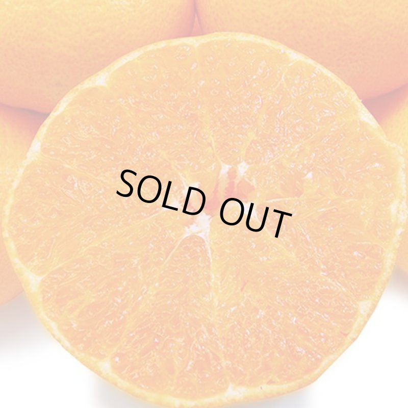 画像4: 愛媛県産 甘平 ギフト用5kg (4)