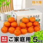 画像1: 愛媛県産 甘平 ご家庭用5kg (1)