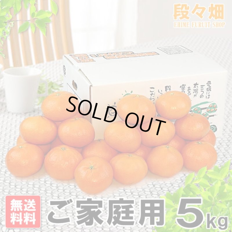 画像1: 愛媛県産 甘平 ご家庭用5kg (1)