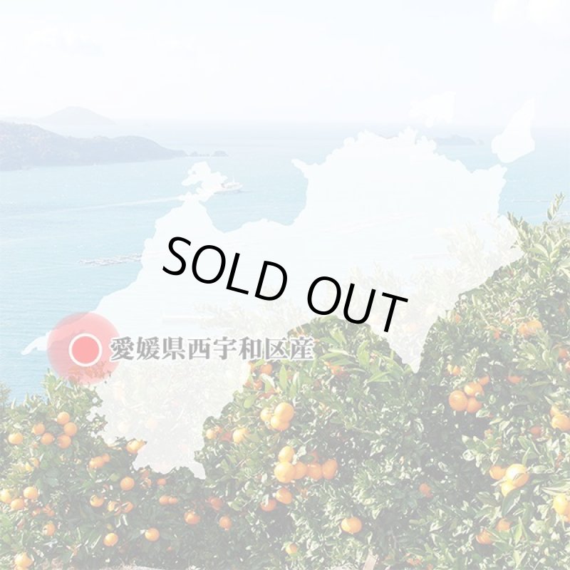 画像8: 愛媛県産 デコスケ ご家庭用5kg (8)