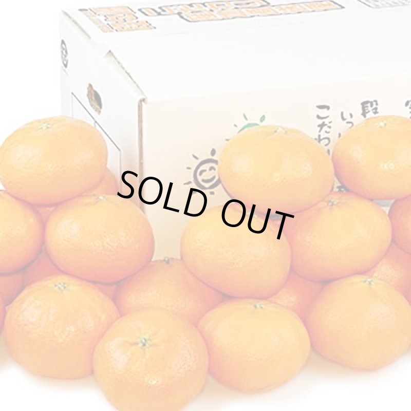 画像2: 愛媛県産 甘平 ご家庭用5kg (2)