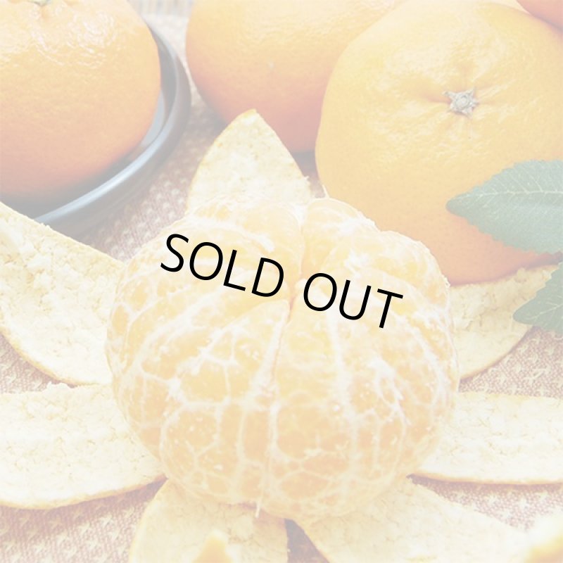 画像3: 愛媛県産 甘平 ご家庭用5kg (3)