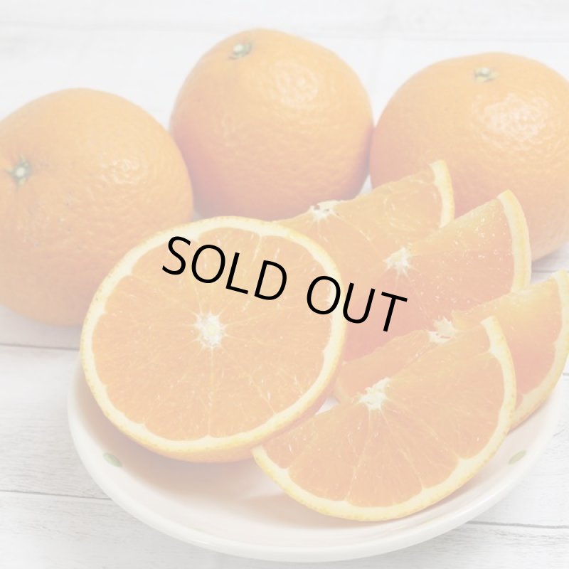 画像6: 愛媛県産 清見（きよみ） 自然の恵み(訳あり・傷あり）5kg (6)