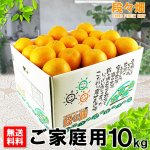 画像1: 愛媛県産 清見（きよみ） ご家庭用10kg (1)