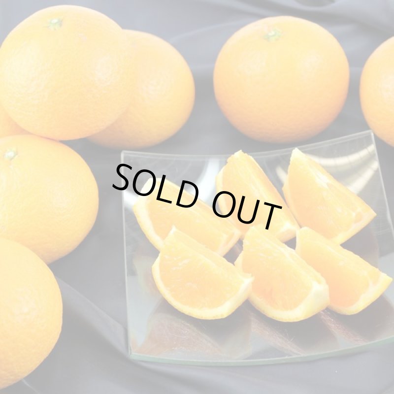 画像3: 愛媛県産 清見（きよみ） ご家庭用10kg (3)