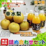 画像1: 愛媛県産 幸水梨・100％ストレート果汁ジュース セット (1)