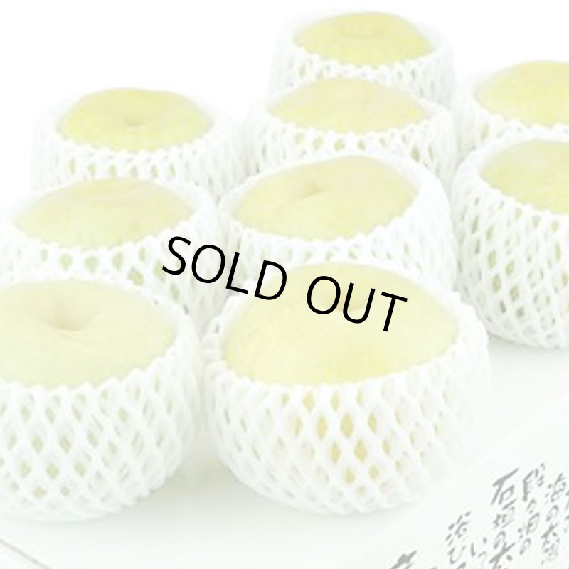 画像2: 愛媛県産 幸水梨 ギフト用 5kg (2)