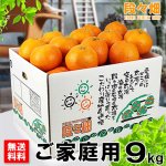 画像1: 愛媛県産 みやうちいよかん ご家庭用9kg (1)