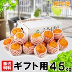 画像1: 愛媛県産 みやうちいよかん ギフト用4.5kg (1)