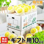 画像1: 愛媛県産 ニューサマーオレンジ ギフト用10kg (1)