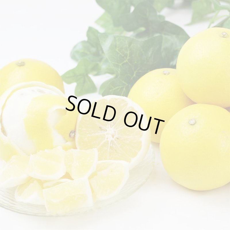 画像6: 愛媛県産 ニューサマーオレンジ ご家庭用10kg (6)