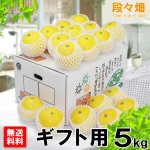 画像1: 愛媛県産 ニューサマーオレンジ ギフト用5kg (1)