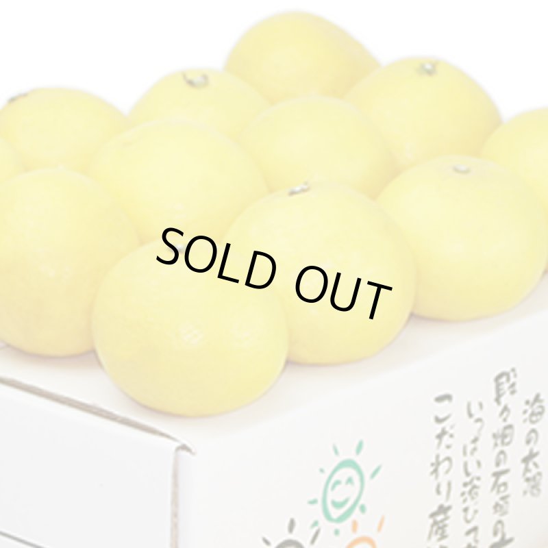 画像2: 愛媛県産 ニューサマーオレンジ ご家庭用5kg (2)