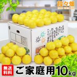 画像1: 愛媛県産 ニューサマーオレンジ ご家庭用10kg (1)