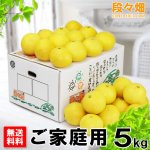 画像1: 愛媛県産 ニューサマーオレンジ ご家庭用5kg (1)