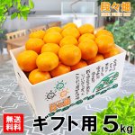 画像1: 愛媛県産 ポンカン ギフト用５kg (1)