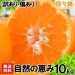 画像2: 愛媛県産 ポンカン 自然の恵み(訳あり・傷あり）10kg (2)