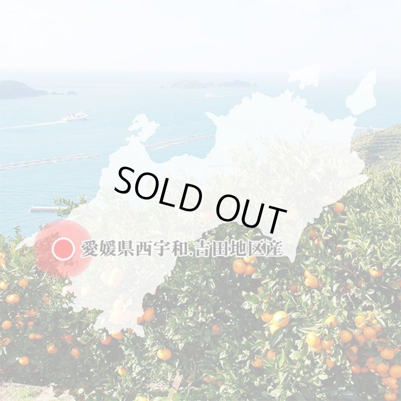 画像7: 愛媛県産 ポンカン ご家庭用5kg (7)