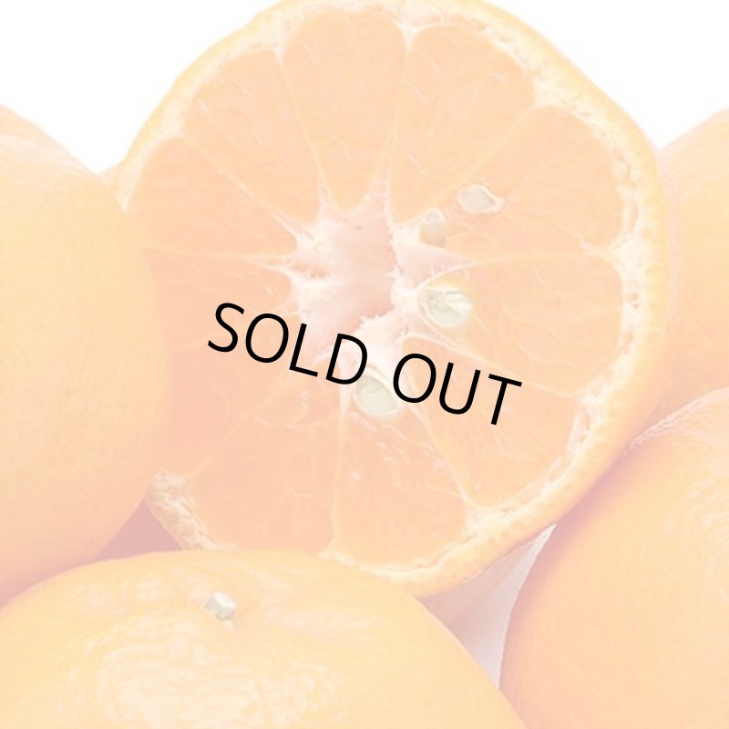 画像3: 愛媛県産 ポンカン ご家庭用5kg (3)