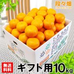 画像1: 愛媛県産 ポンカン ギフト用10kg (1)