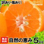 画像2: 愛媛県産 ポンカン 自然の恵み(訳あり・傷あり）5kg (2)