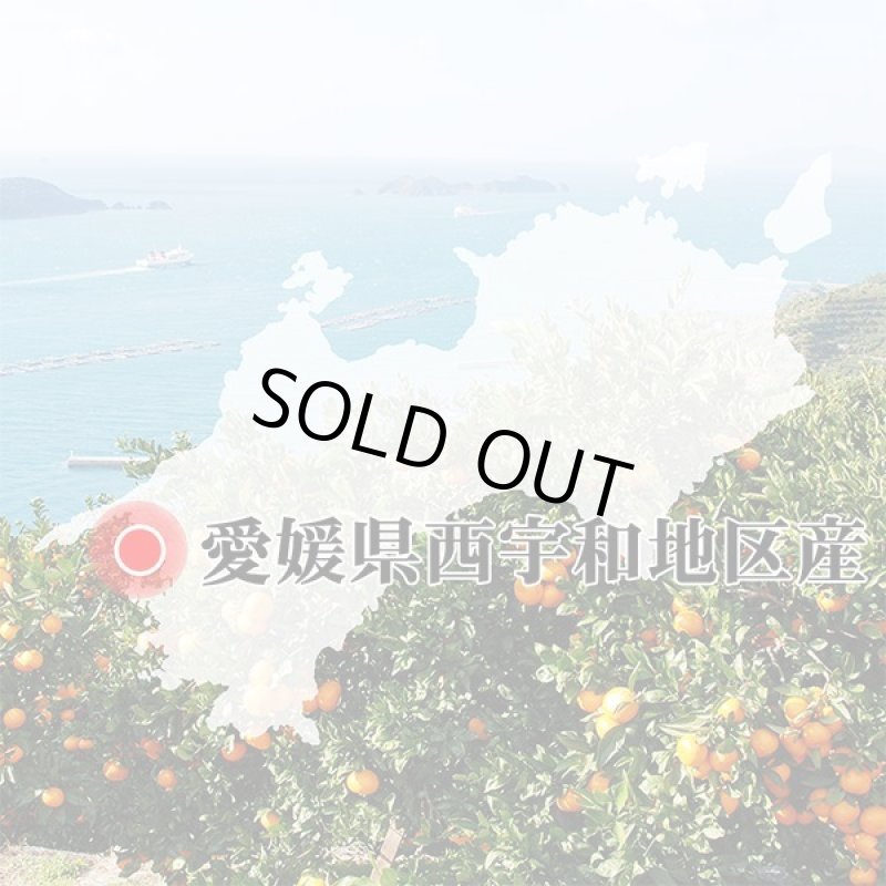 画像8: 愛媛県産 せとか ギフト用5kg (8)