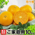 画像3: 愛媛県産 せとか ご家庭用10kg (3)