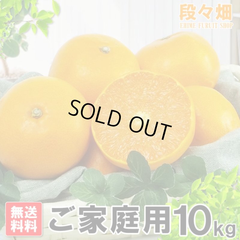 画像3: 愛媛県産 せとか ご家庭用10kg (3)
