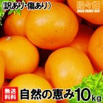 画像3: 愛媛県産 せとか 自然の恵み(訳あり・傷あり）10kg (3)