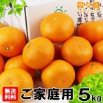 画像3: 愛媛県産 せとか ご家庭用５kg (3)