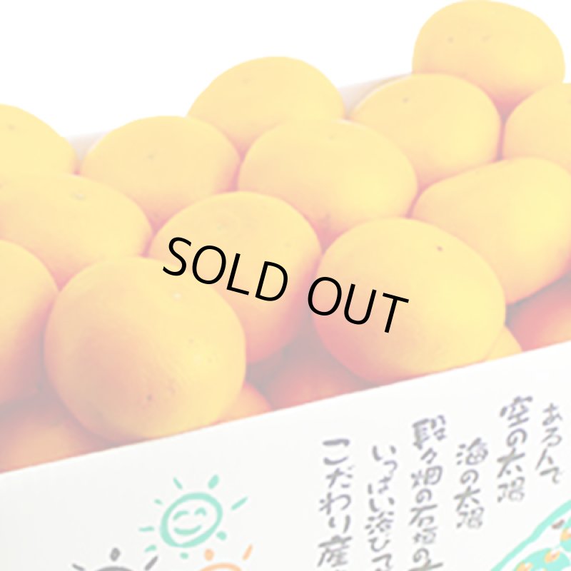 画像4: 愛媛県産 せとか ご家庭用５kg (4)