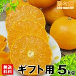 画像2: 愛媛県産 せとか ギフト用5kg (2)