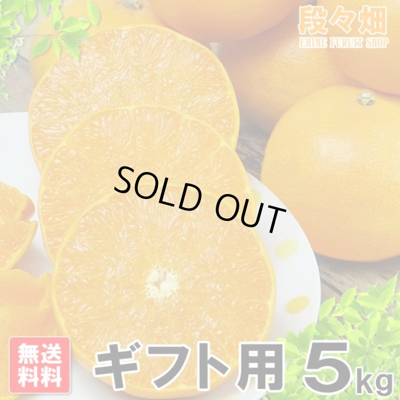画像2: 愛媛県産 せとか ギフト用5kg (2)