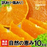 画像2: 愛媛県産 せとか 自然の恵み(訳あり・傷あり）10kg (2)