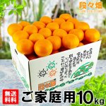 画像1: 愛媛県産 せとか ご家庭用10kg (1)