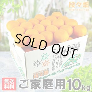 愛媛県産 せとか