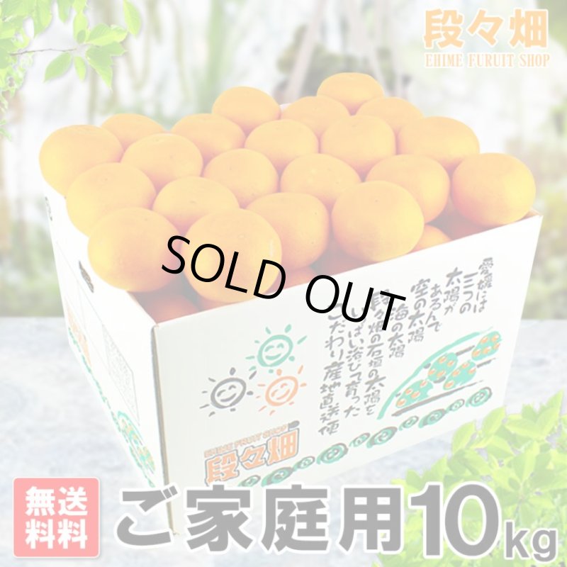 画像1: 愛媛県産 せとか ご家庭用10kg (1)