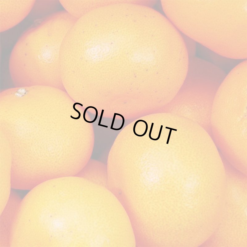 画像4: 愛媛県産 せとか 自然の恵み(訳あり・傷あり）５kg (4)