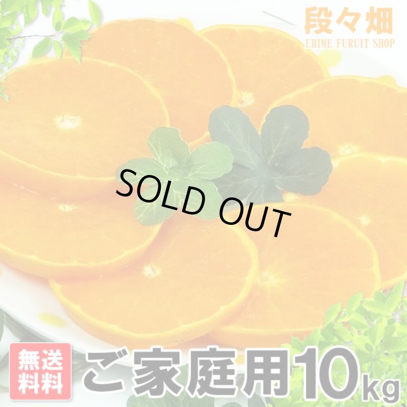 画像2: 愛媛県産 せとか ご家庭用10kg (2)