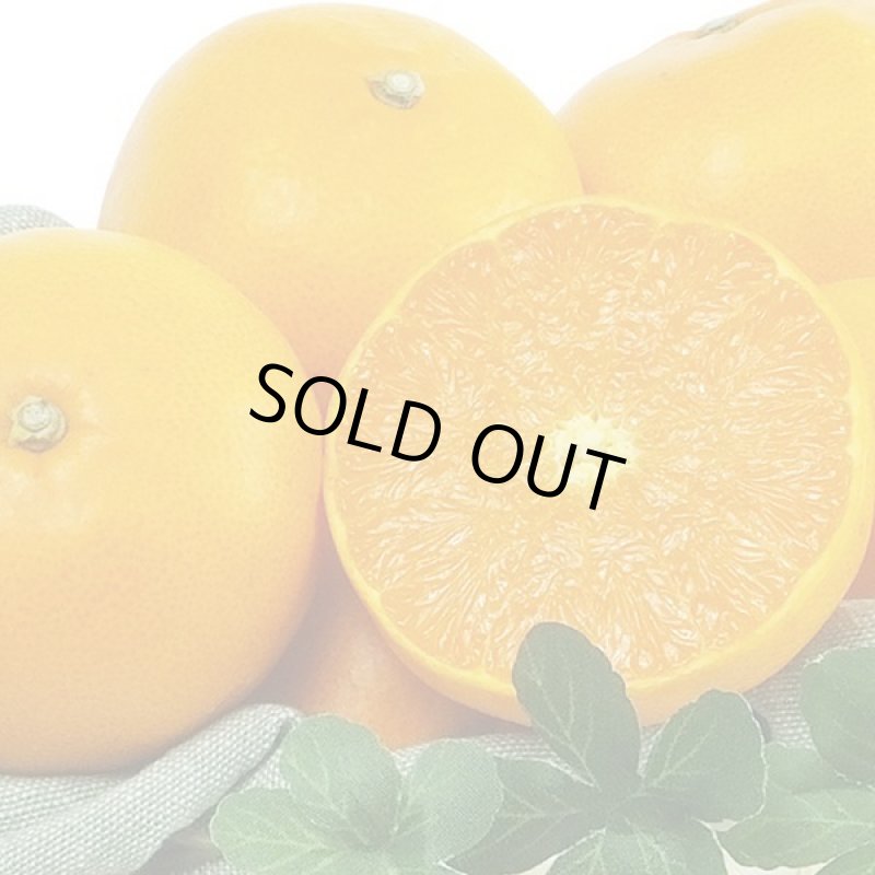 画像5: 愛媛県産 せとか 自然の恵み(訳あり・傷あり）５kg (5)