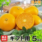 画像3: 愛媛県産 せとか ギフト用5kg (3)