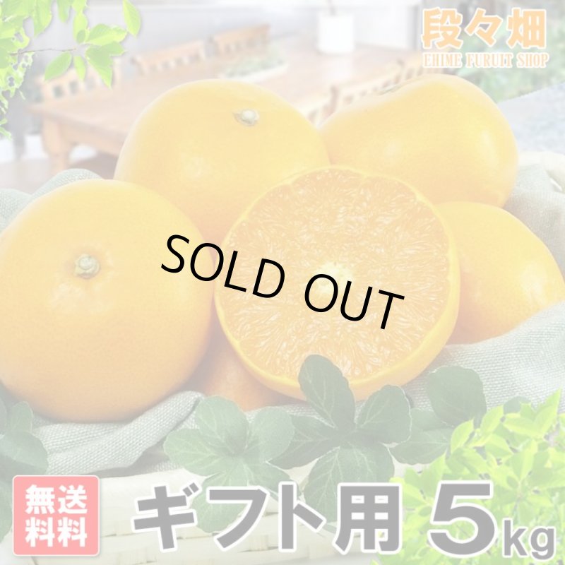 画像3: 愛媛県産 せとか ギフト用5kg (3)