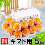 画像1: 愛媛県産 せとか ギフト用5kg (1)