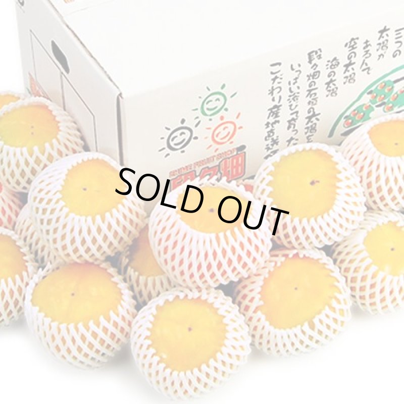 画像2: 愛媛県産　刀根柿（とねがき）　ご家庭用５kg (2)