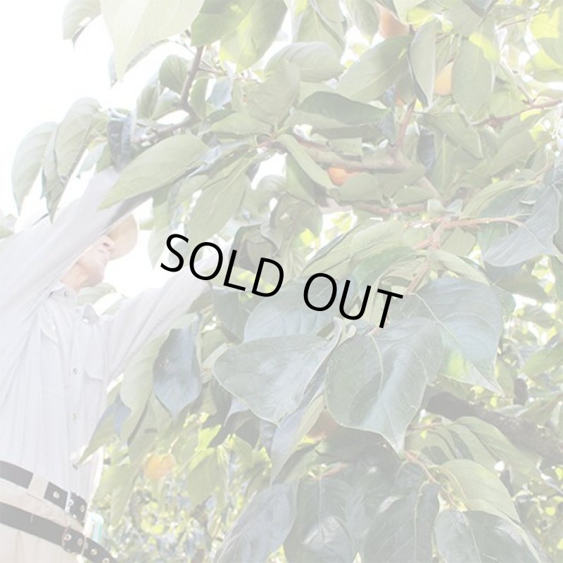 画像5: 愛媛県産　刀根柿（とねがき）（自然の恵み）小玉 7kg (5)